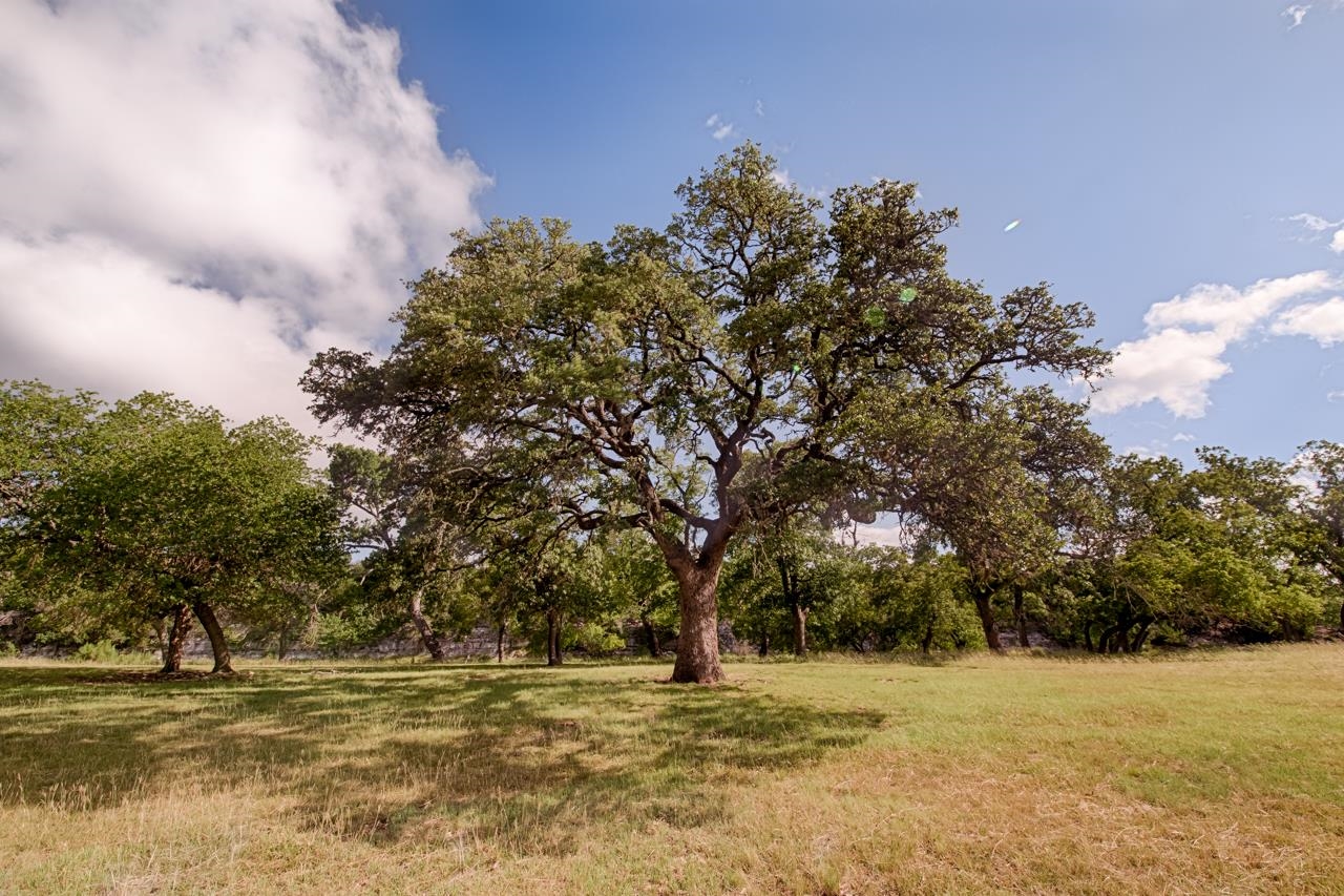 Lot 23 Goose Landing Way Harper TX 78631