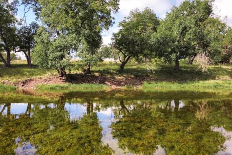 Lot 23 Goose Landing Way Harper TX 78631