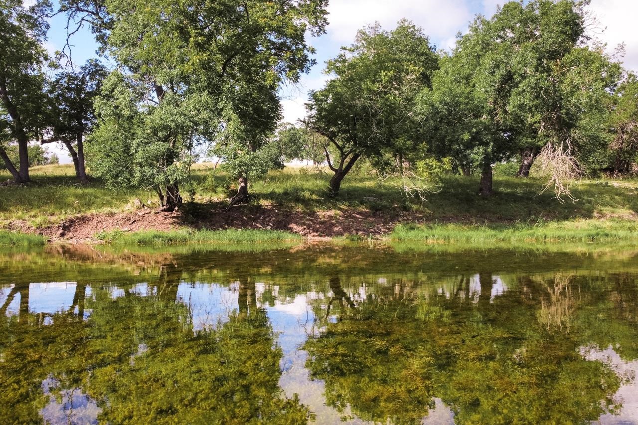 Lot 23 Goose Landing Way Harper TX 78631