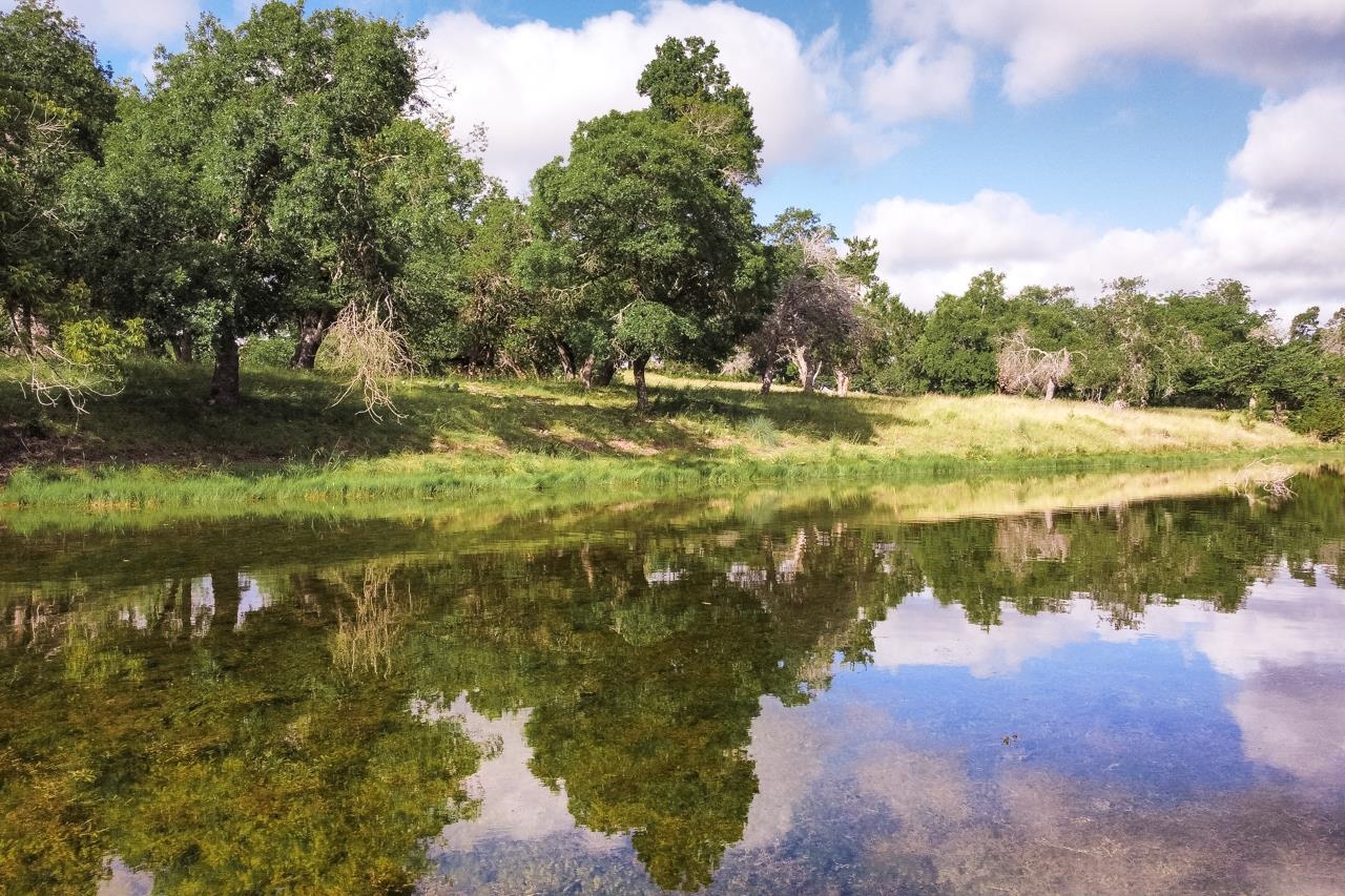 Lot 23 Goose Landing Way Harper TX 78631