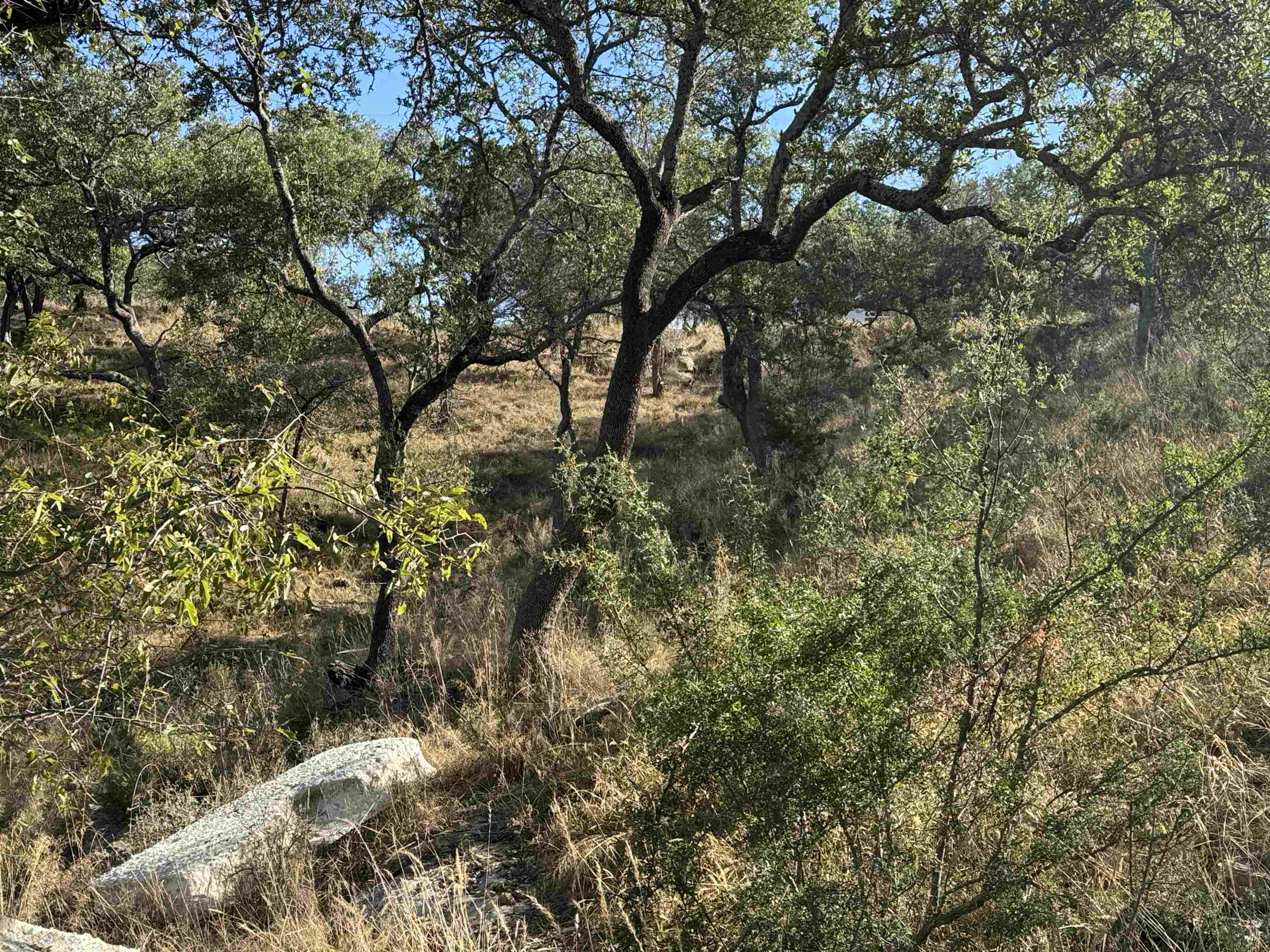 00 Cr 137 Burnet TX 78611