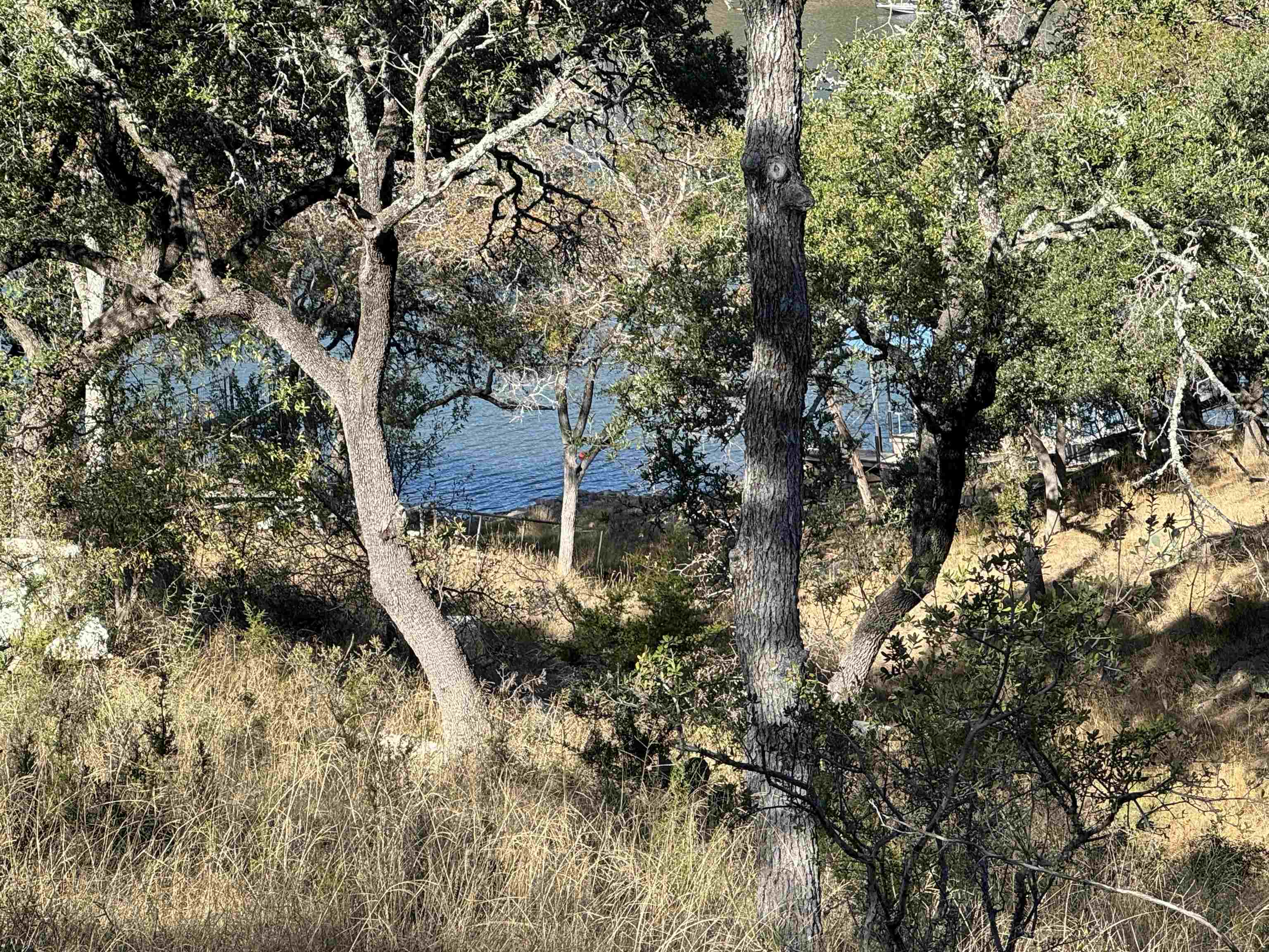 00 Cr 137 Burnet TX 78611