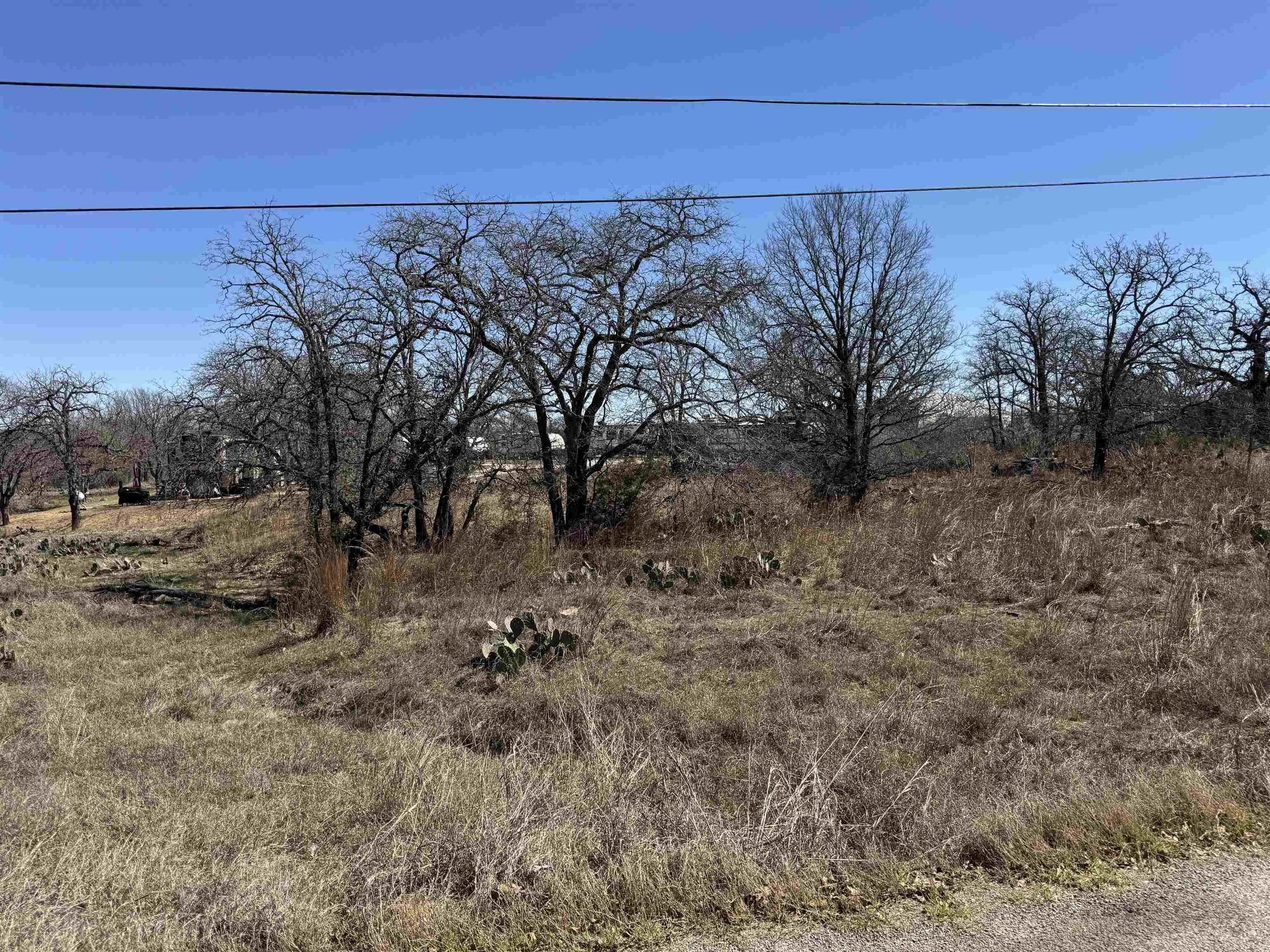 Lot 148 Woodlawn Drive Kingsland TX 78639