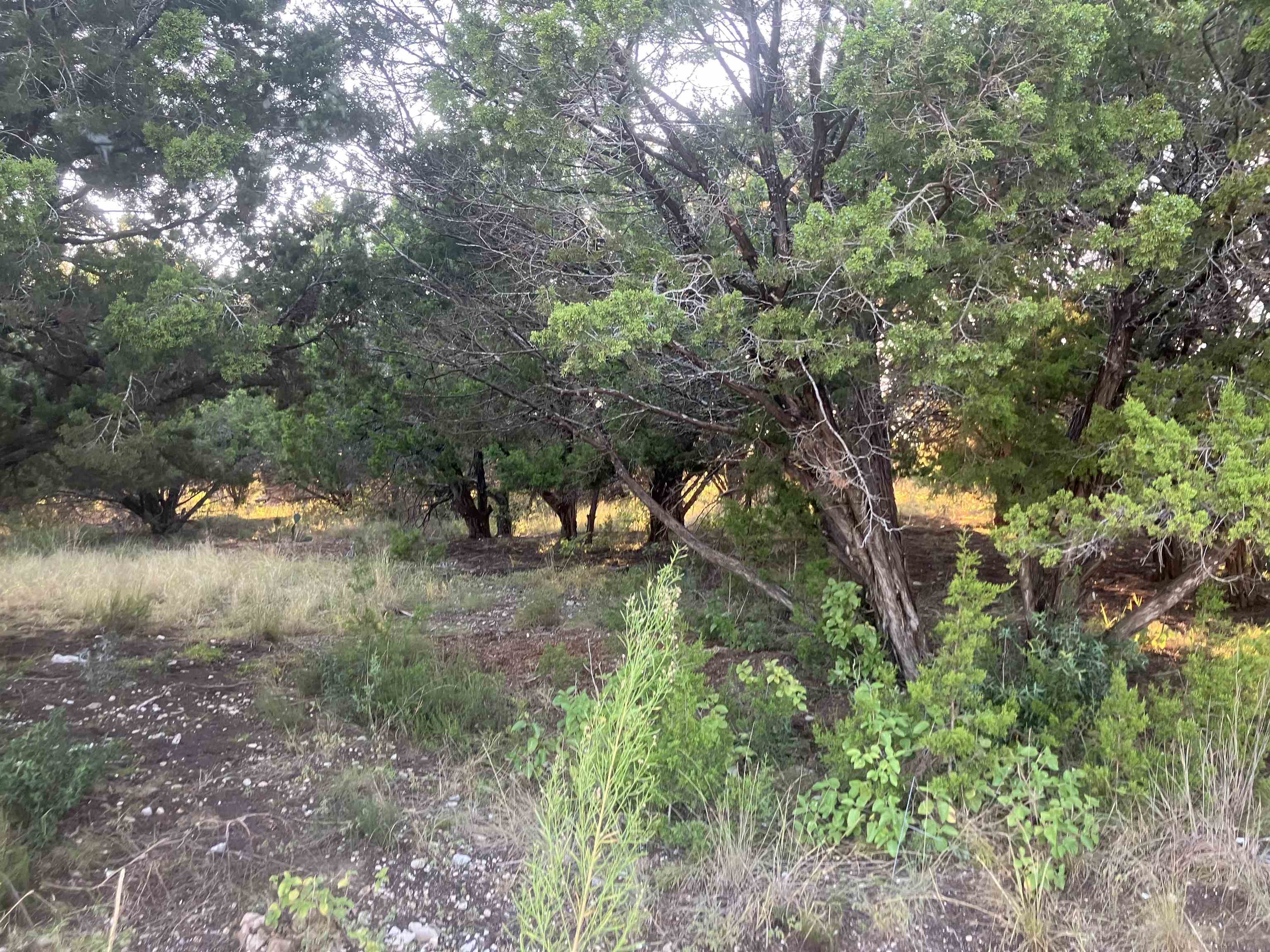 3108 Burnside Circle Lago Vista TX 78645