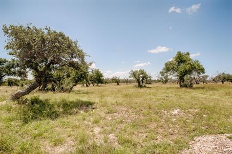 Lot 92 Stock Pond Drive Harper TX 78631