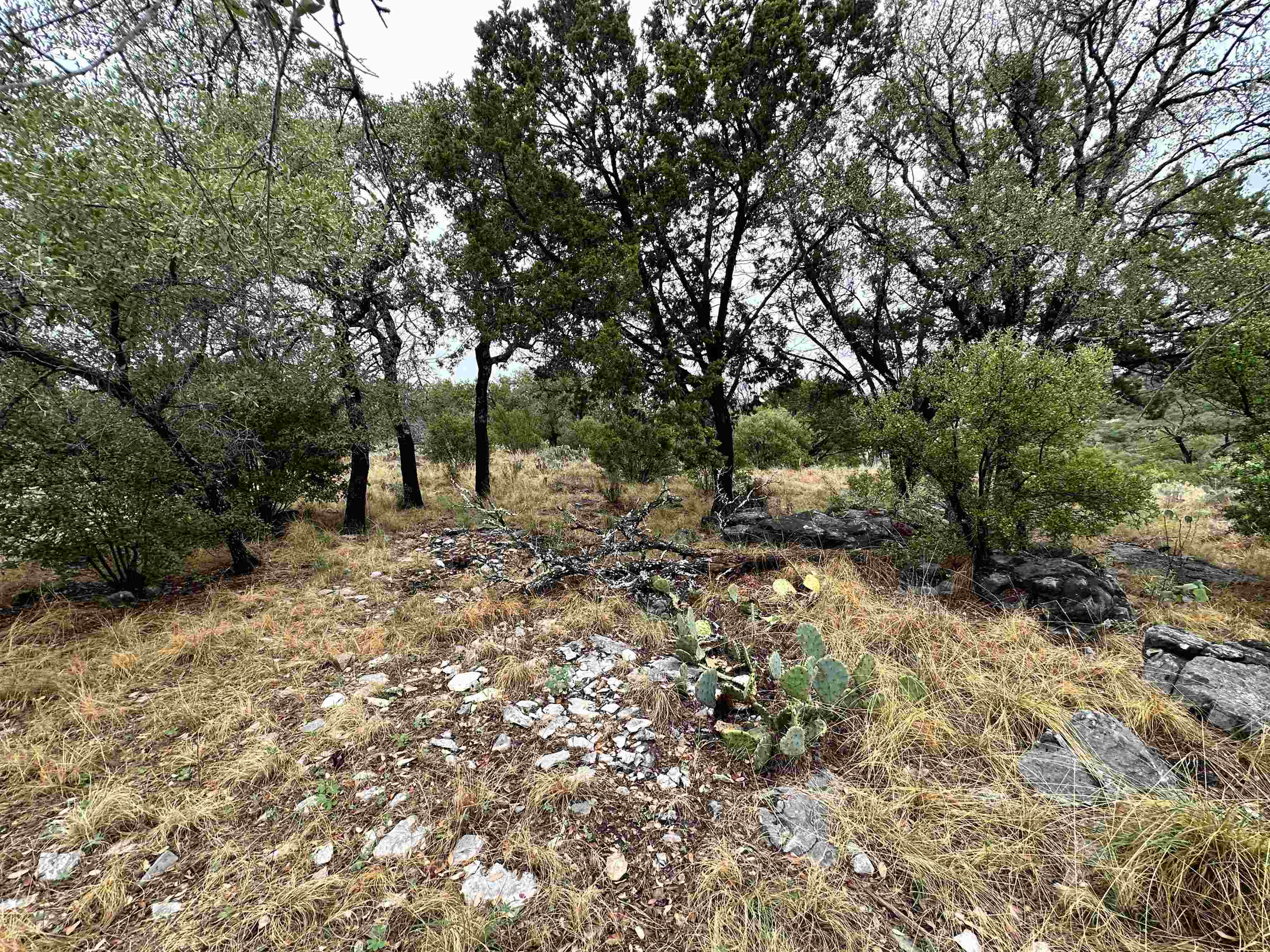 820 Mountain Dew Horseshoe Bay TX 78657