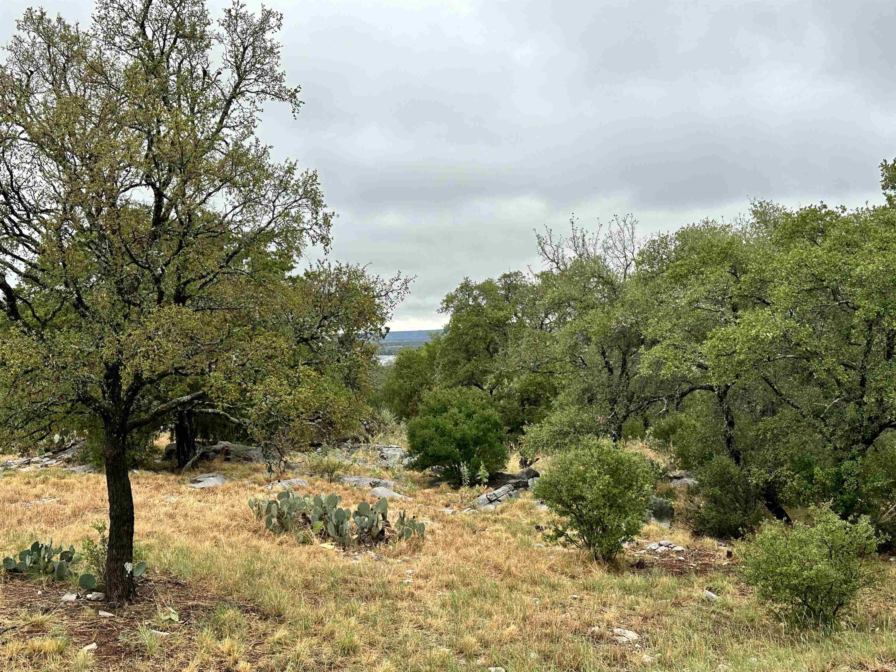820 Mountain Dew Horseshoe Bay TX 78657