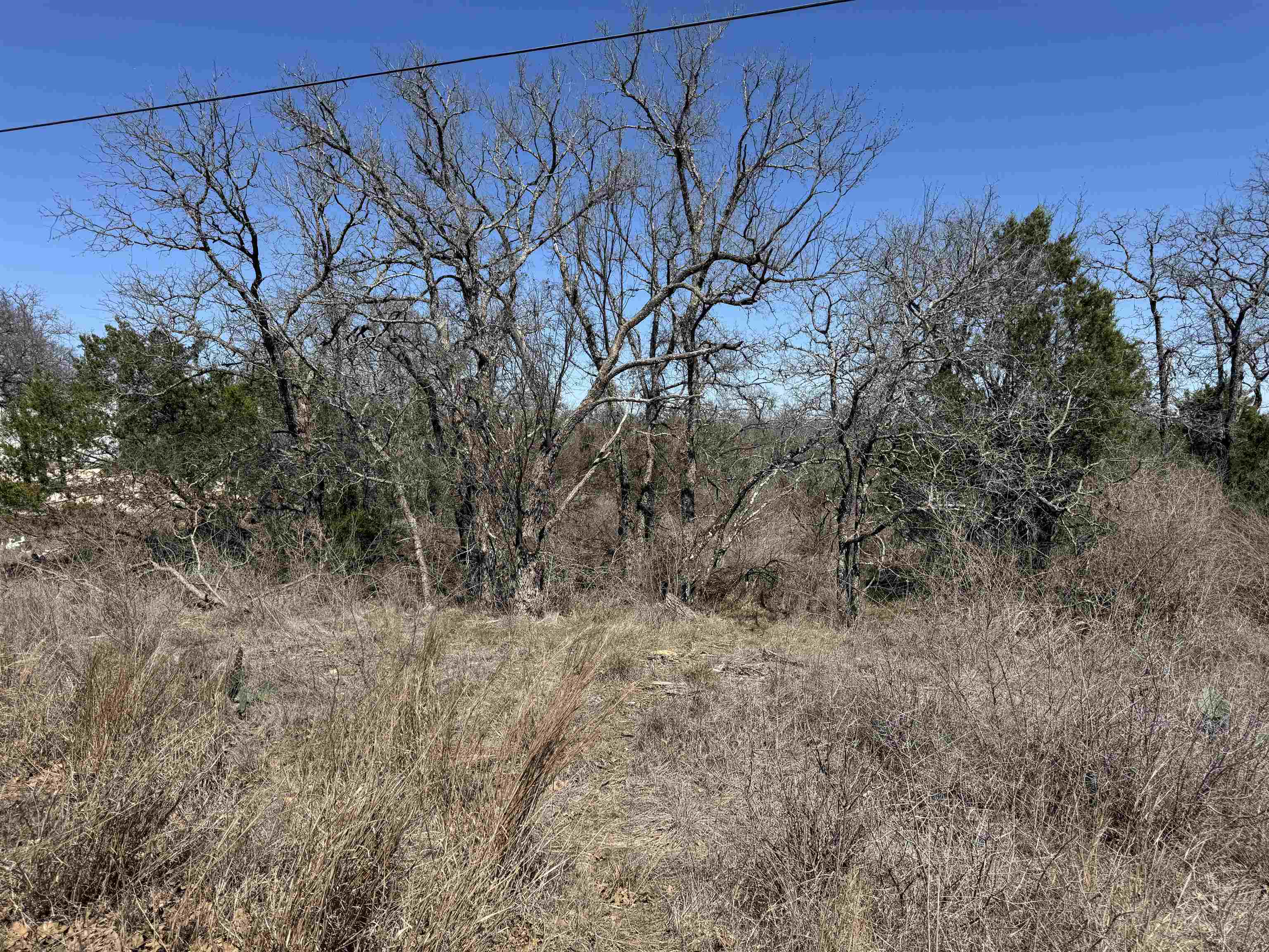 Lot 180 Longmont Drive Kingsland TX 78639