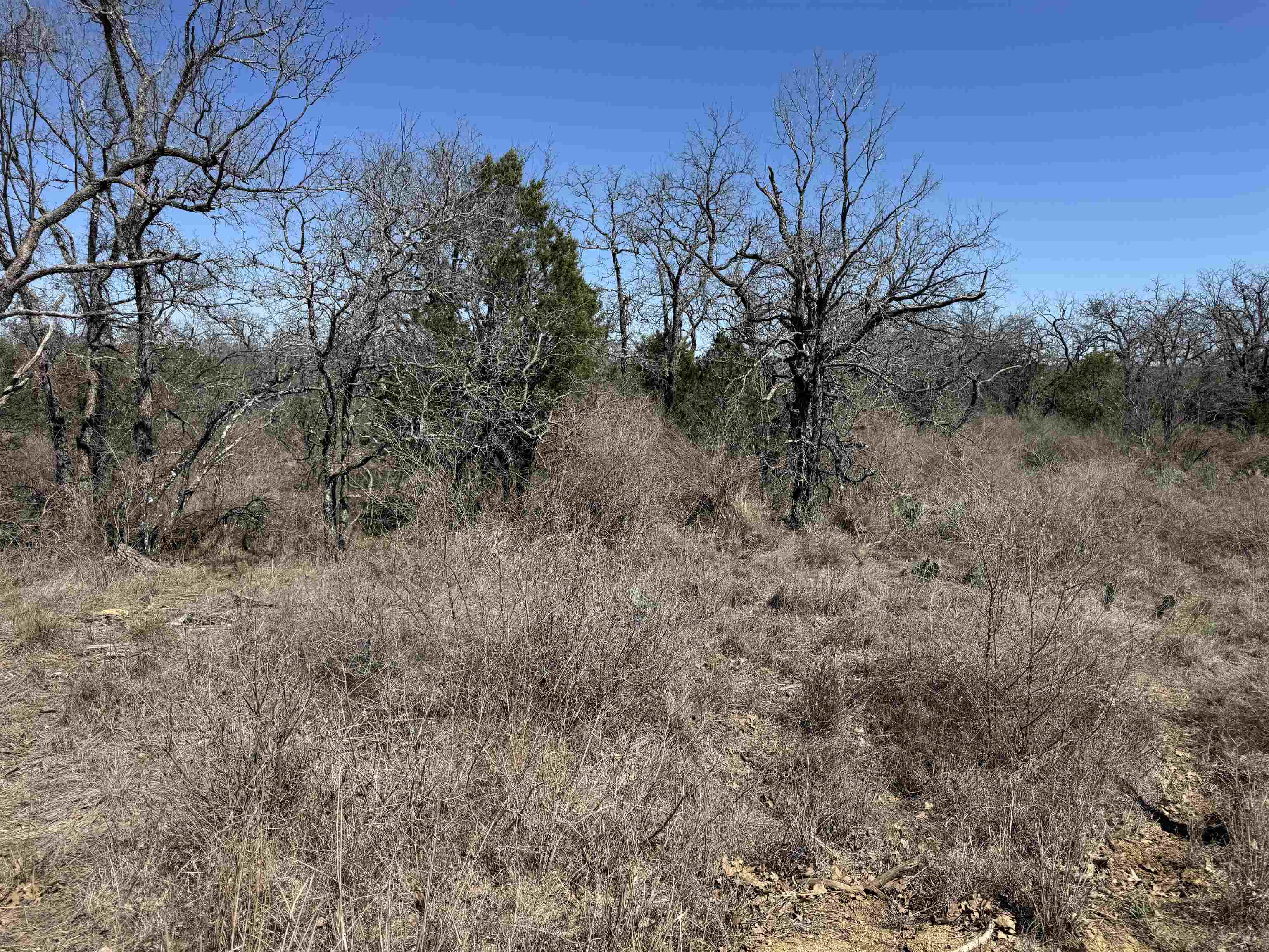 Lot 180 Longmont Drive Kingsland TX 78639