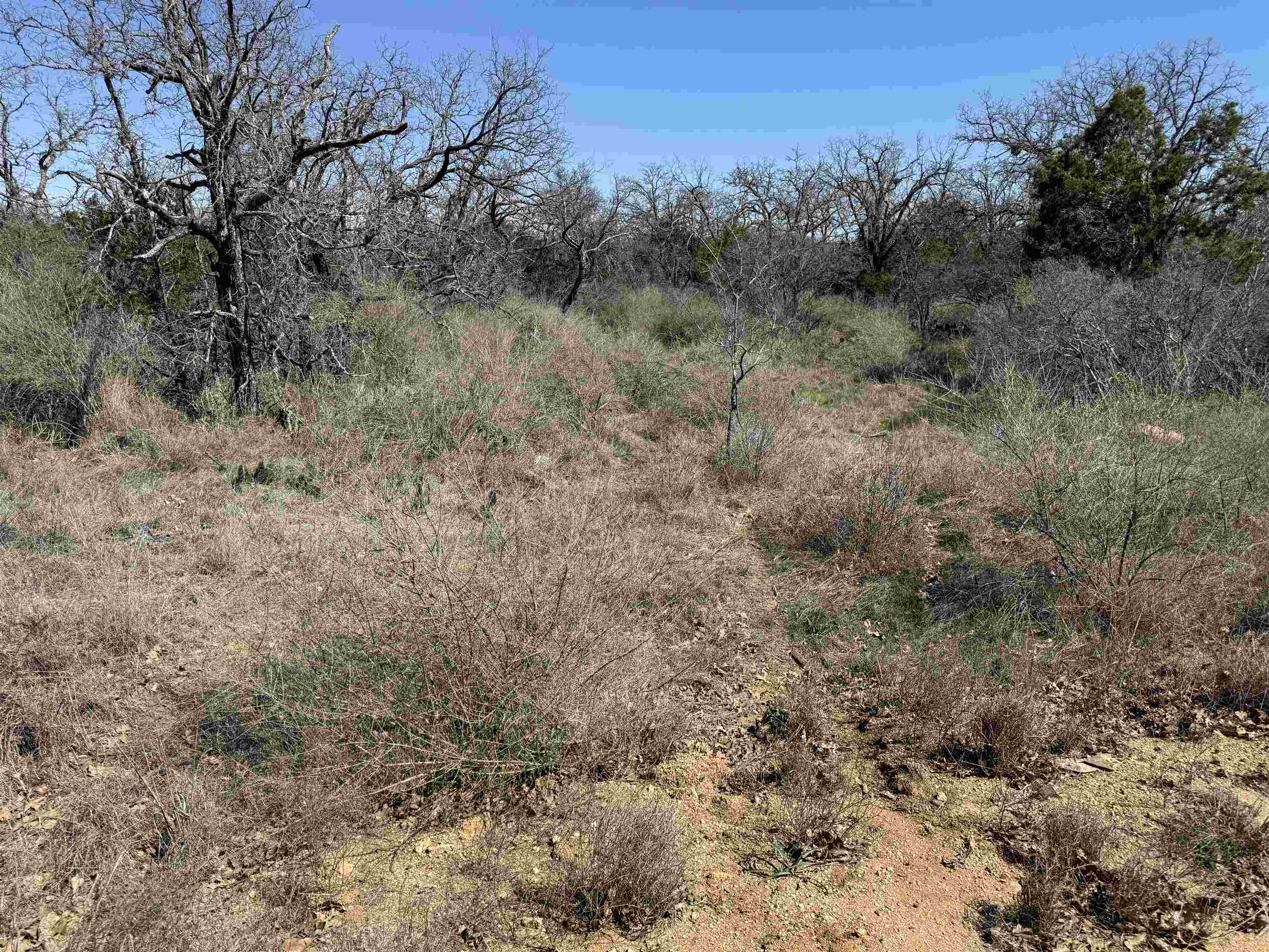 Lot 180 Longmont Drive Kingsland TX 78639