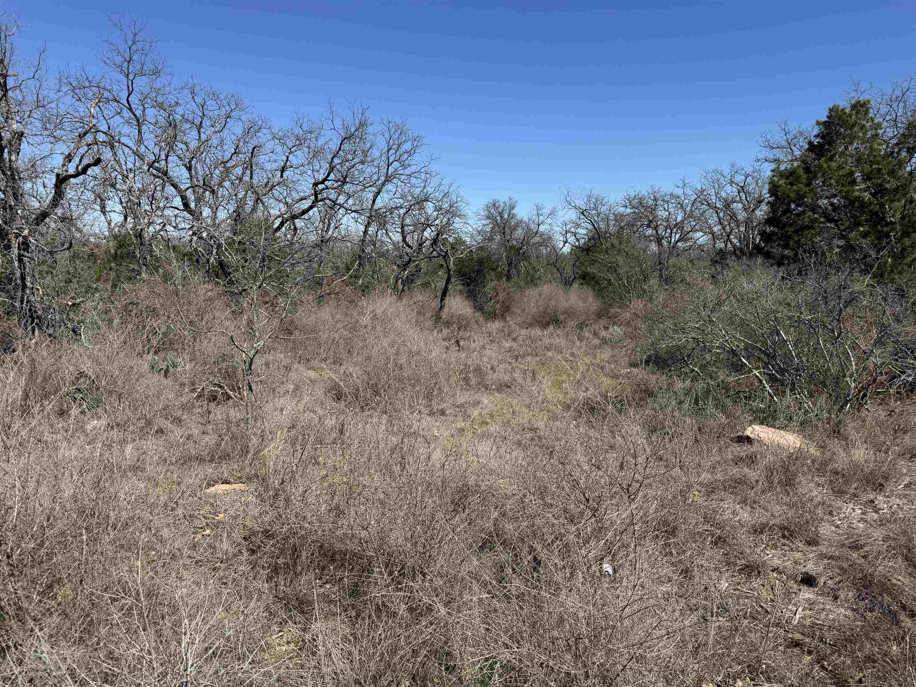 Lot 180 Longmont Drive Kingsland TX 78639