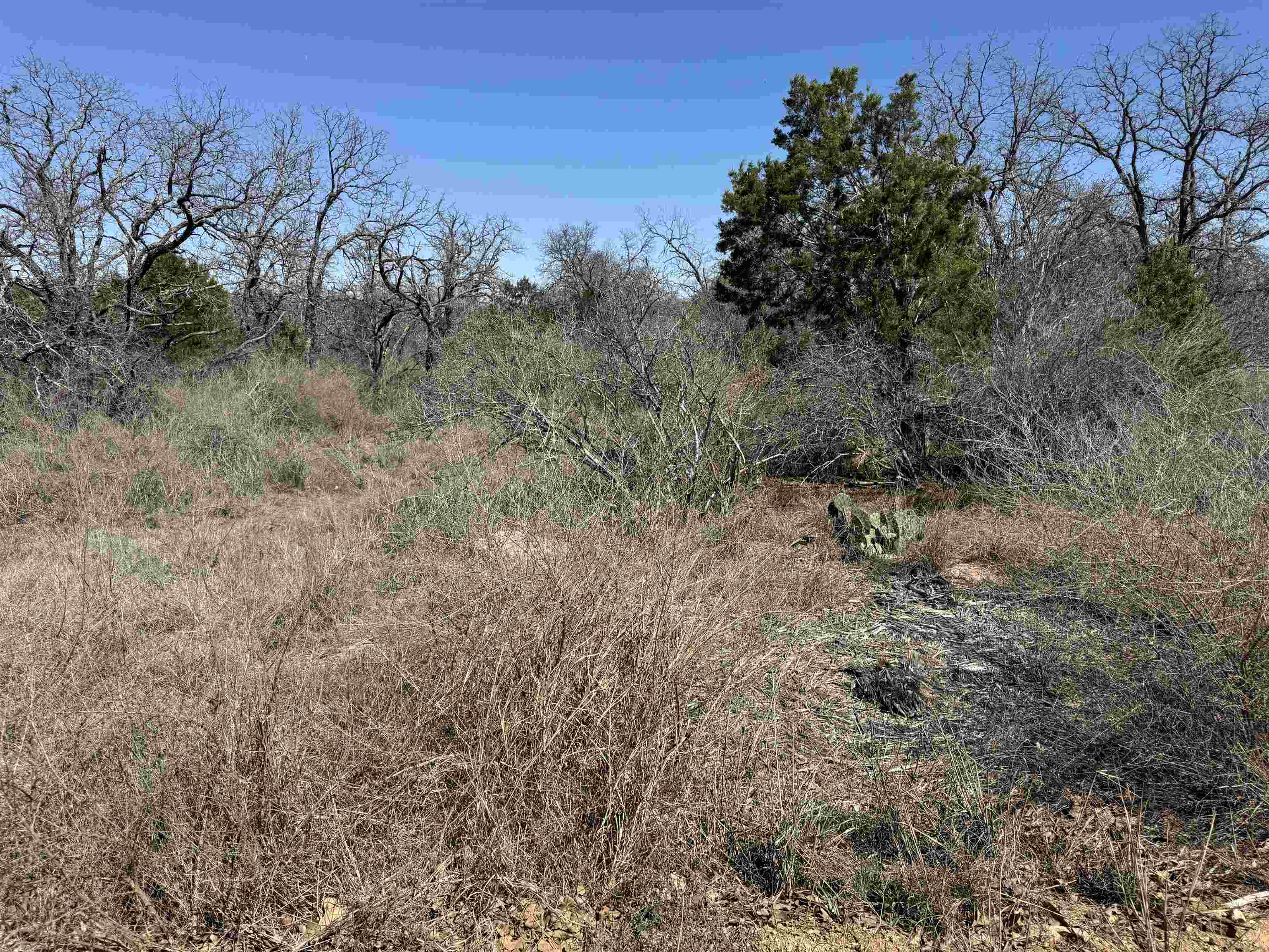Lot 180 Longmont Drive Kingsland TX 78639