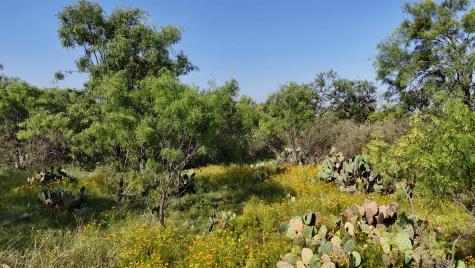 204 Lagitos Lane Llano TX 78643