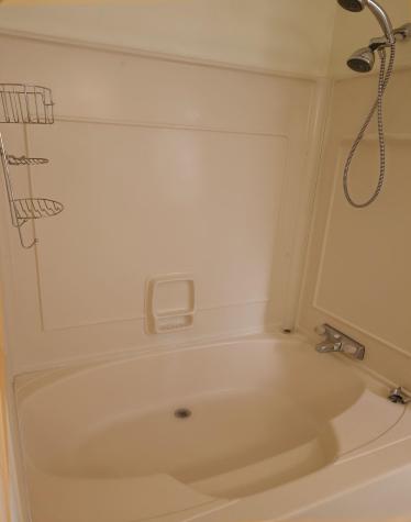 114 Shady Circle Drive Sunrise Beach TX 78643