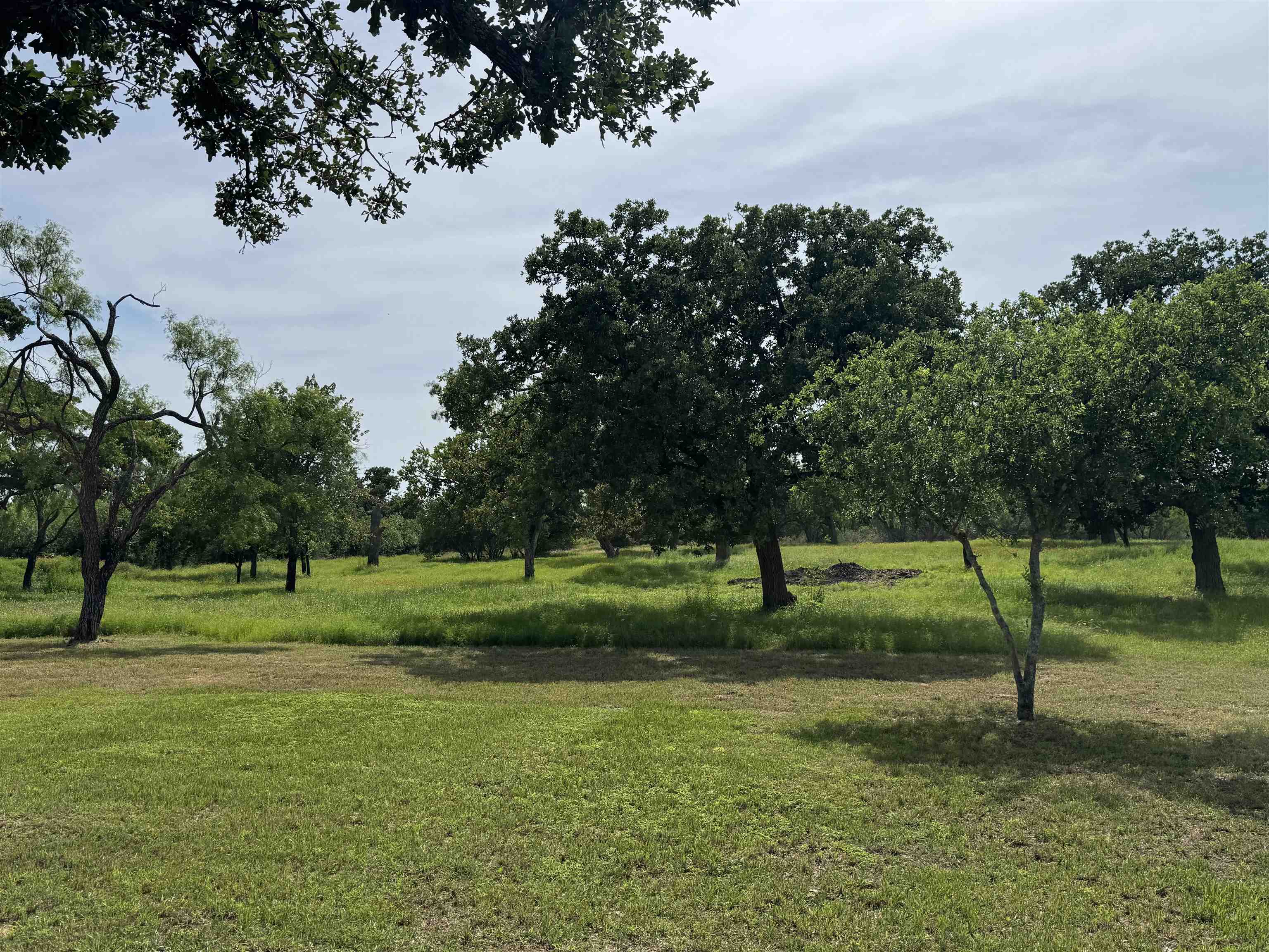 401 Lillian Dean Buchanan Dam TX 78609