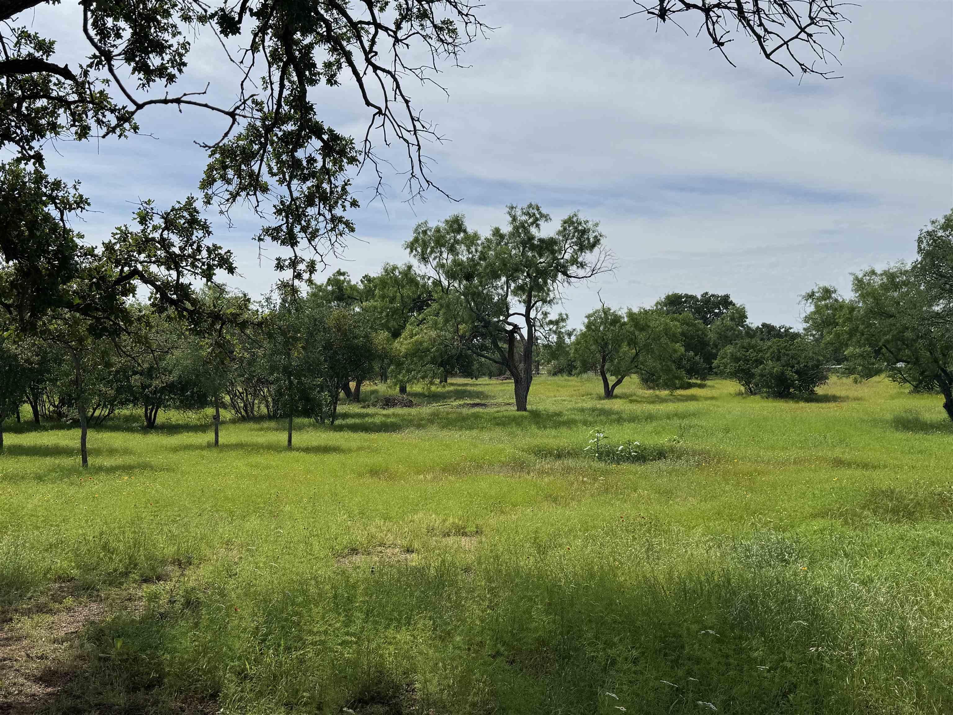 401 Lillian Dean Buchanan Dam TX 78609