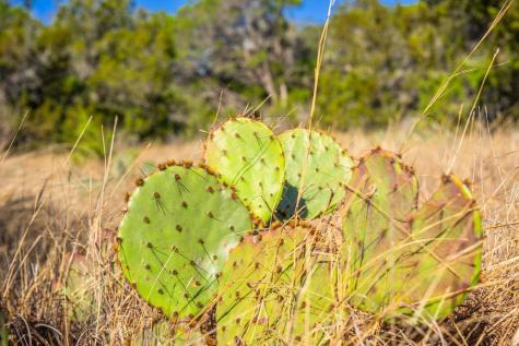 4772 Cr 340 Road Burnet TX 76905