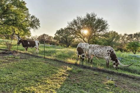 310 The Hills Road Horseshoe Bay TX 78657