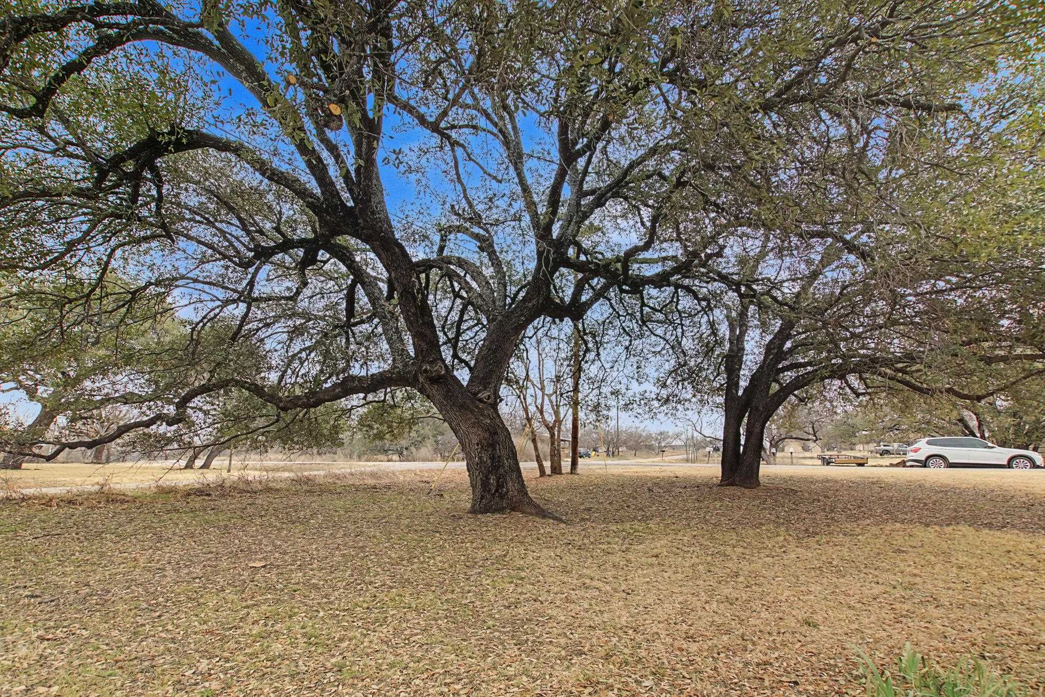 4308 Mountain View Kingsland TX 78639