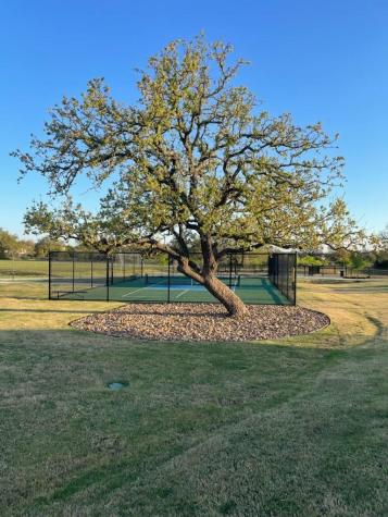 101 Jasmine Marble Falls TX 78654