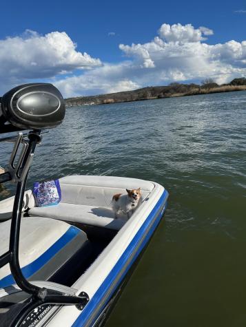 157 E White Rock Street Buchanan Dam TX 78609
