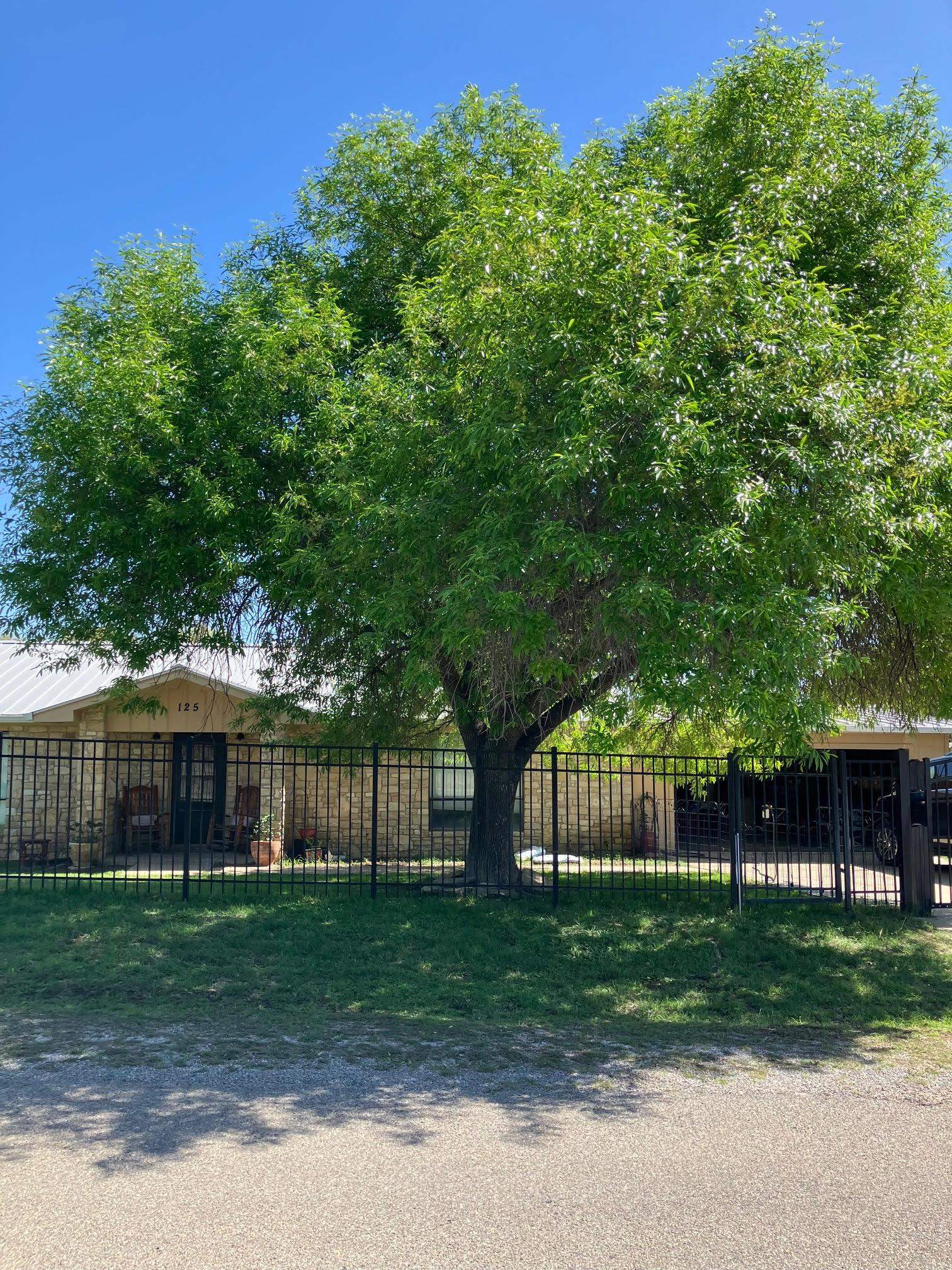 125 Winding Way Sunrise Beach TX 78643