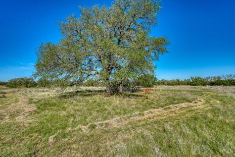 224 Blackbuck Ridge Drive Lampasas TX 76550