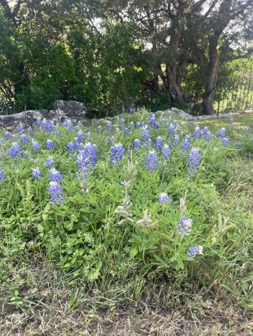 110 Prairie Horseshoe Bay TX 78657