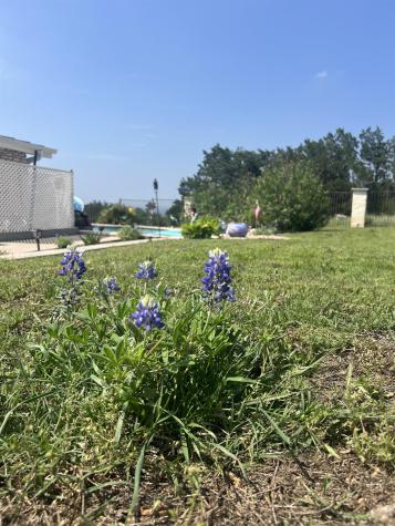 110 Prairie Horseshoe Bay TX 78657