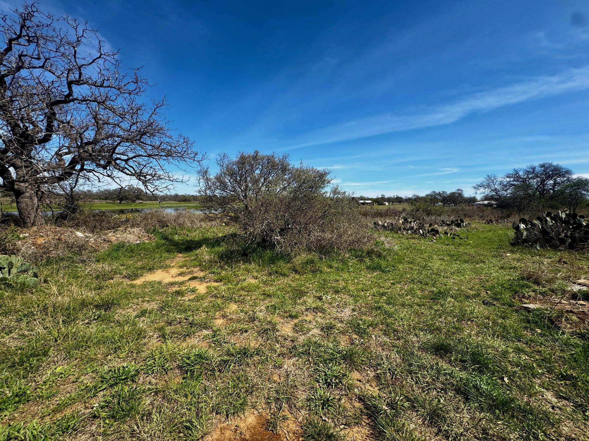 6410 Gray Road Valley Spring TX 76885