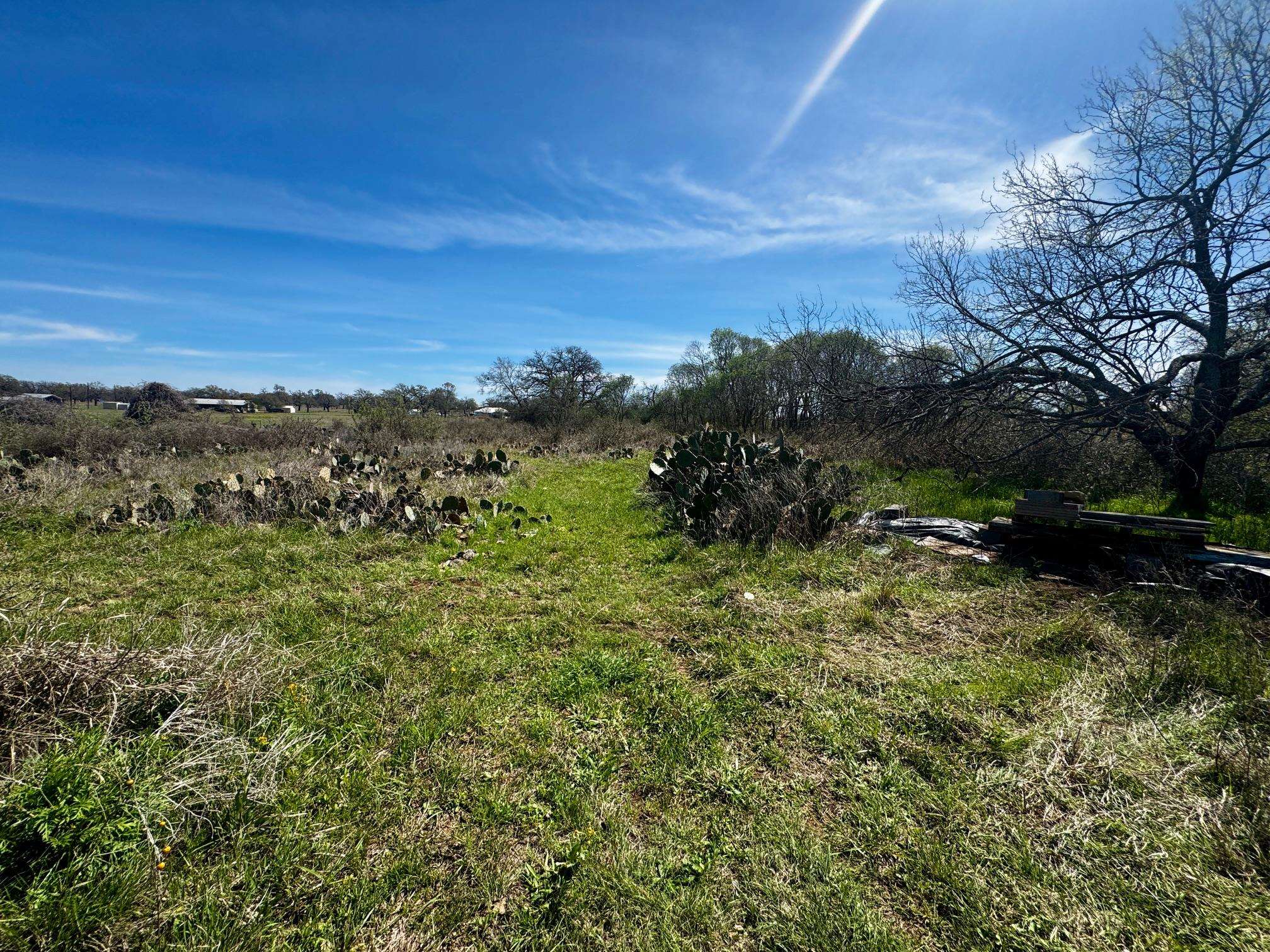6410 Gray Road Valley Spring TX 76885