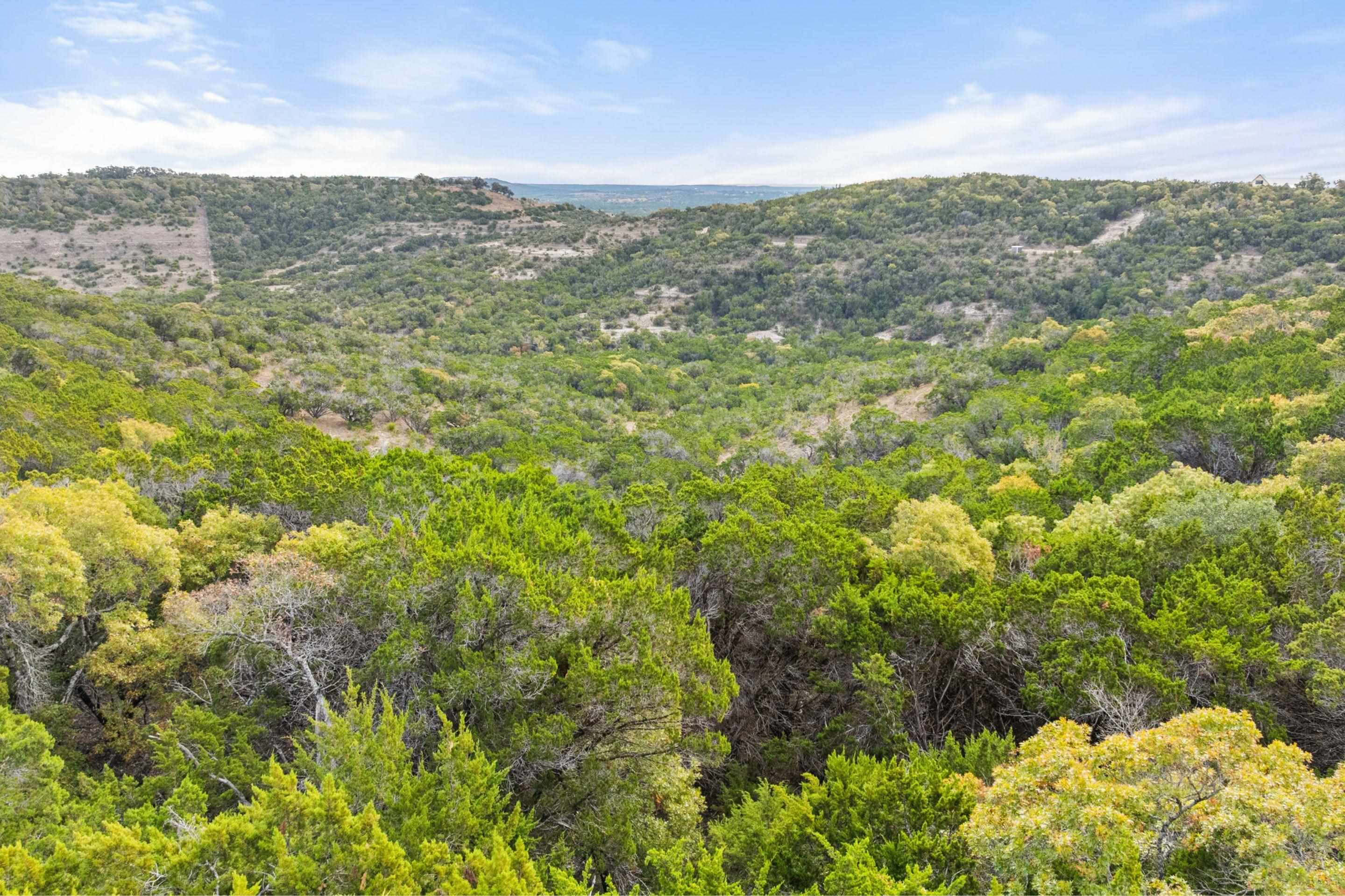 1600 Brushy Ridge Trail Blanco TX 78606