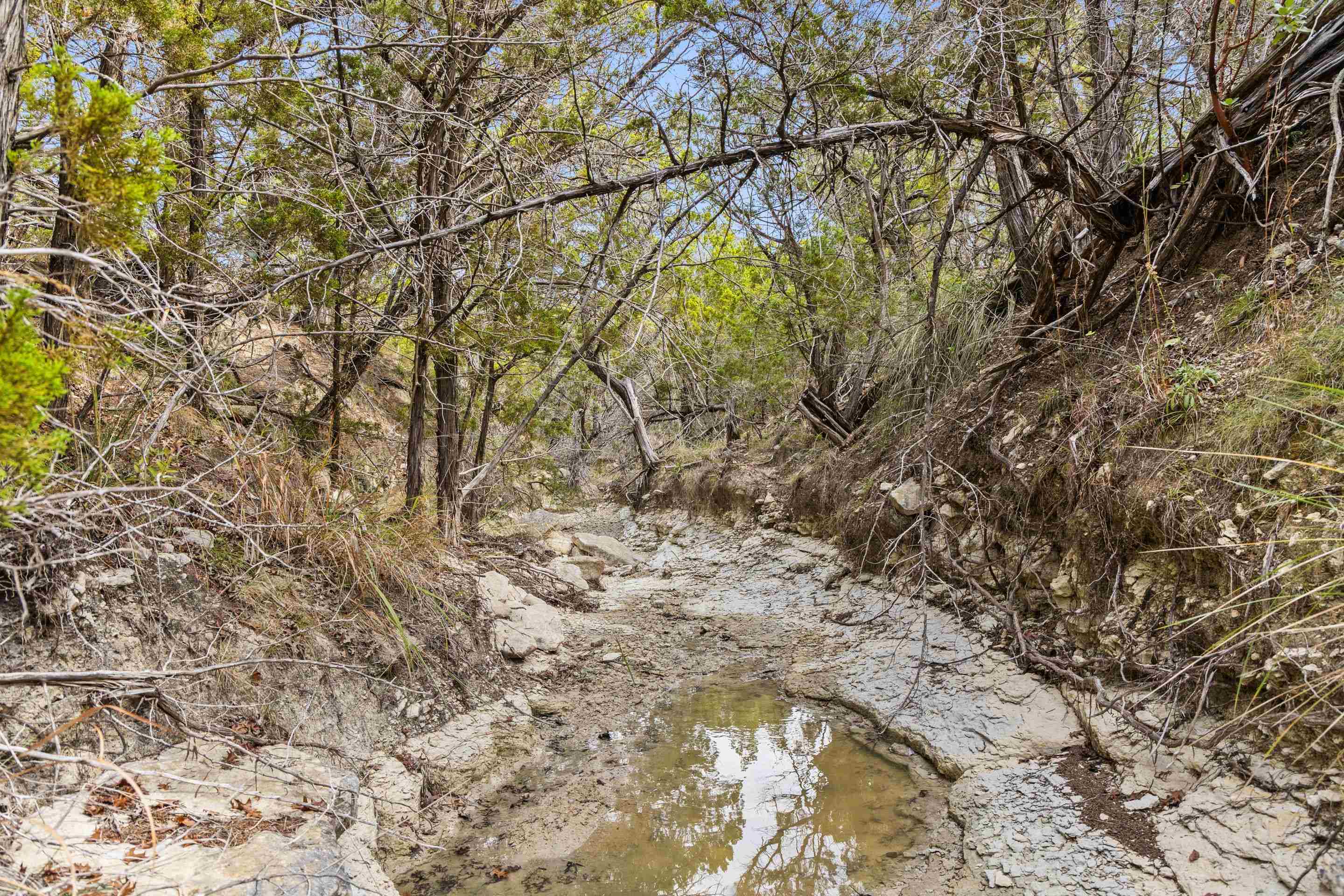 1600 Brushy Ridge Trail Blanco TX 78606