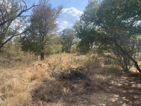 2842 Indian Trail Kingsland TX 78639