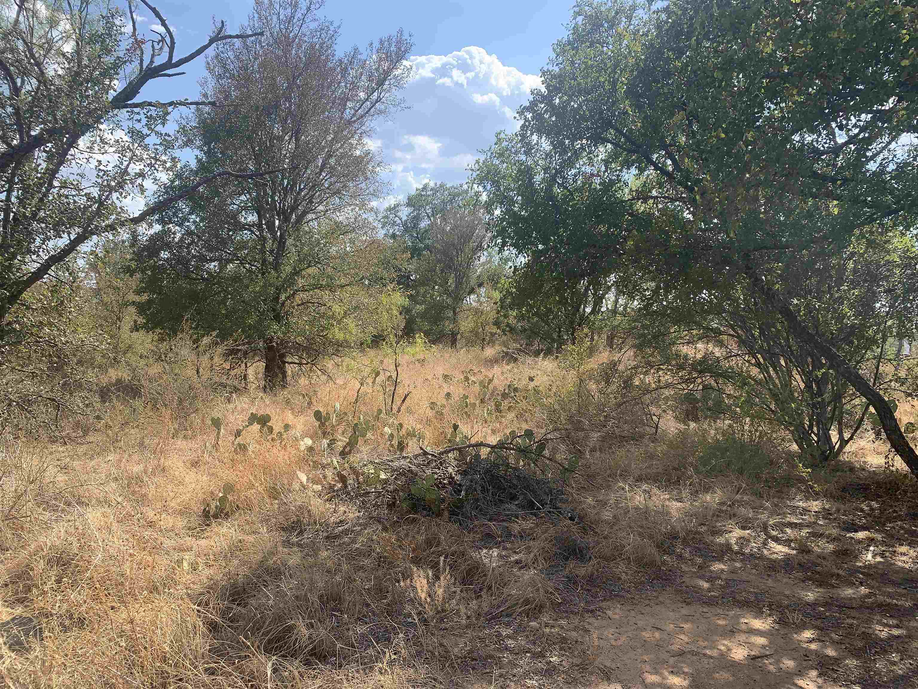 2842 Indian Trail Kingsland TX 78639