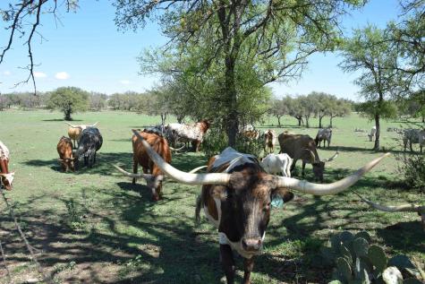 2116 County Road 403 Marble Falls TX 78654