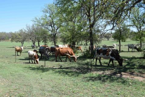 2116 County Road 403 Marble Falls TX 78654
