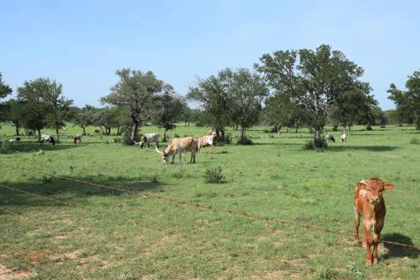 2116 County Road 403 Marble Falls TX 78654