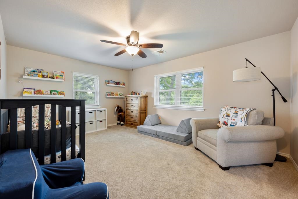 121 Dog Run Burnet TX 78611