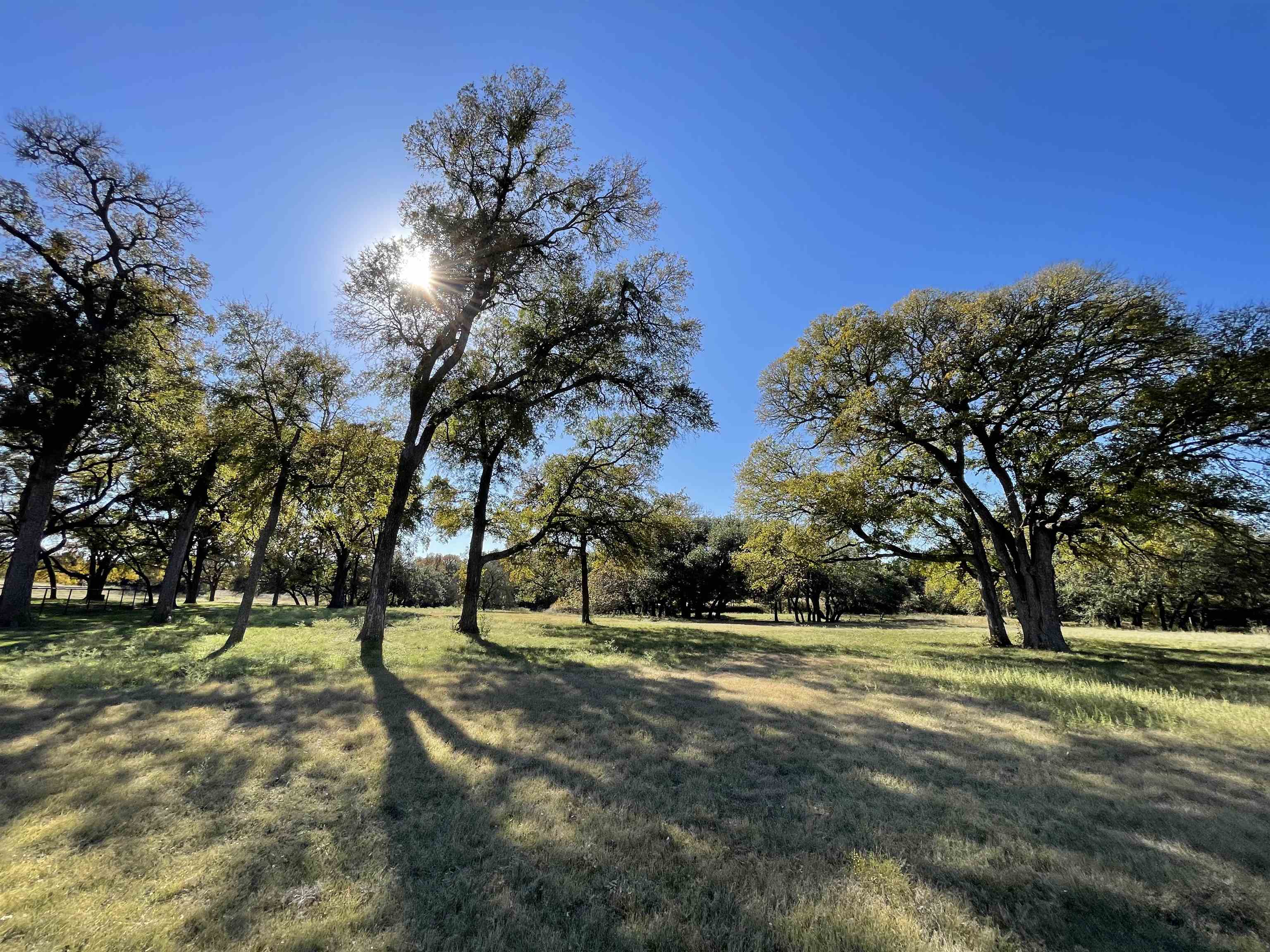 121 Dog Run Burnet TX 78611