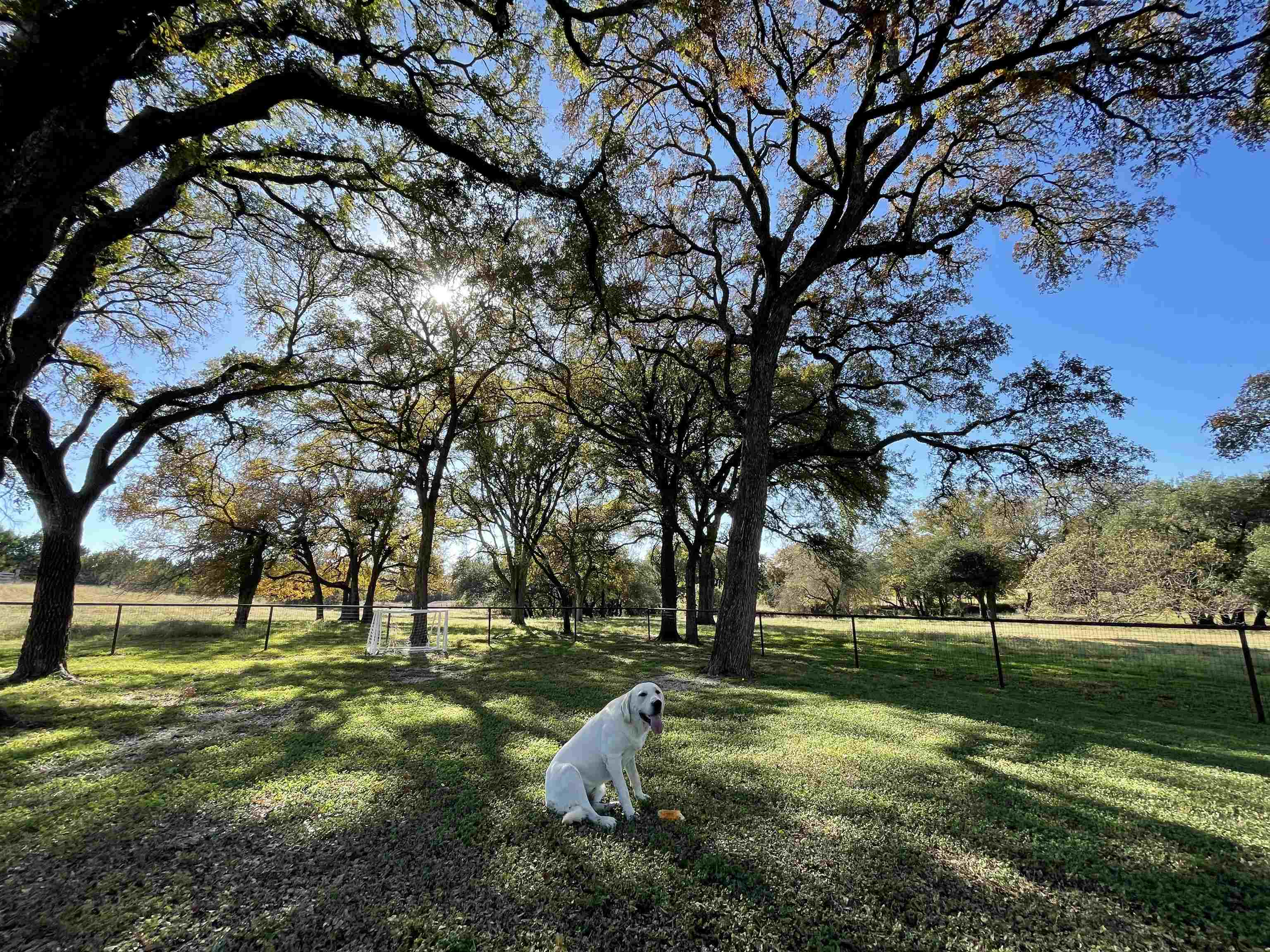 121 Dog Run Burnet TX 78611