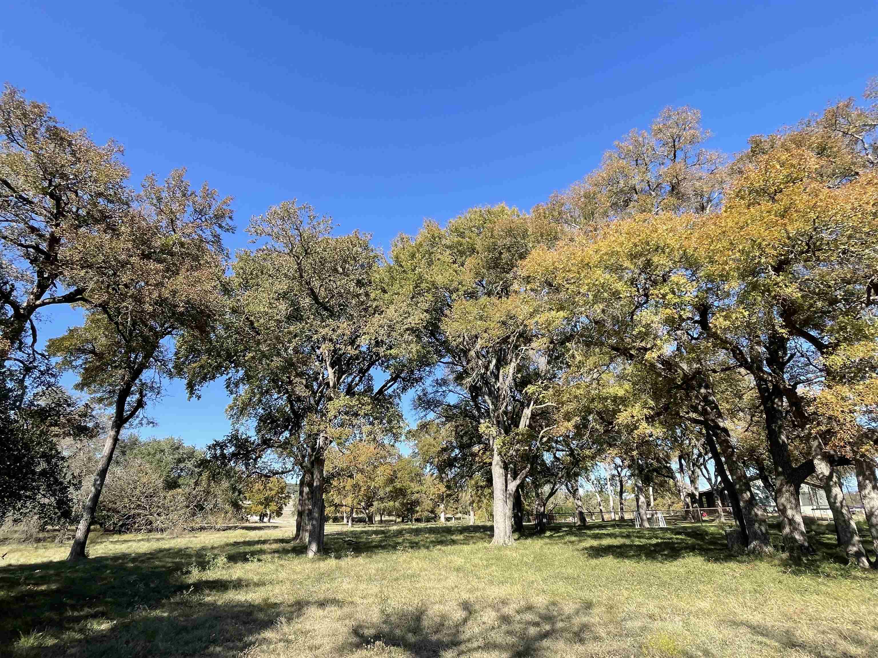 121 Dog Run Burnet TX 78611