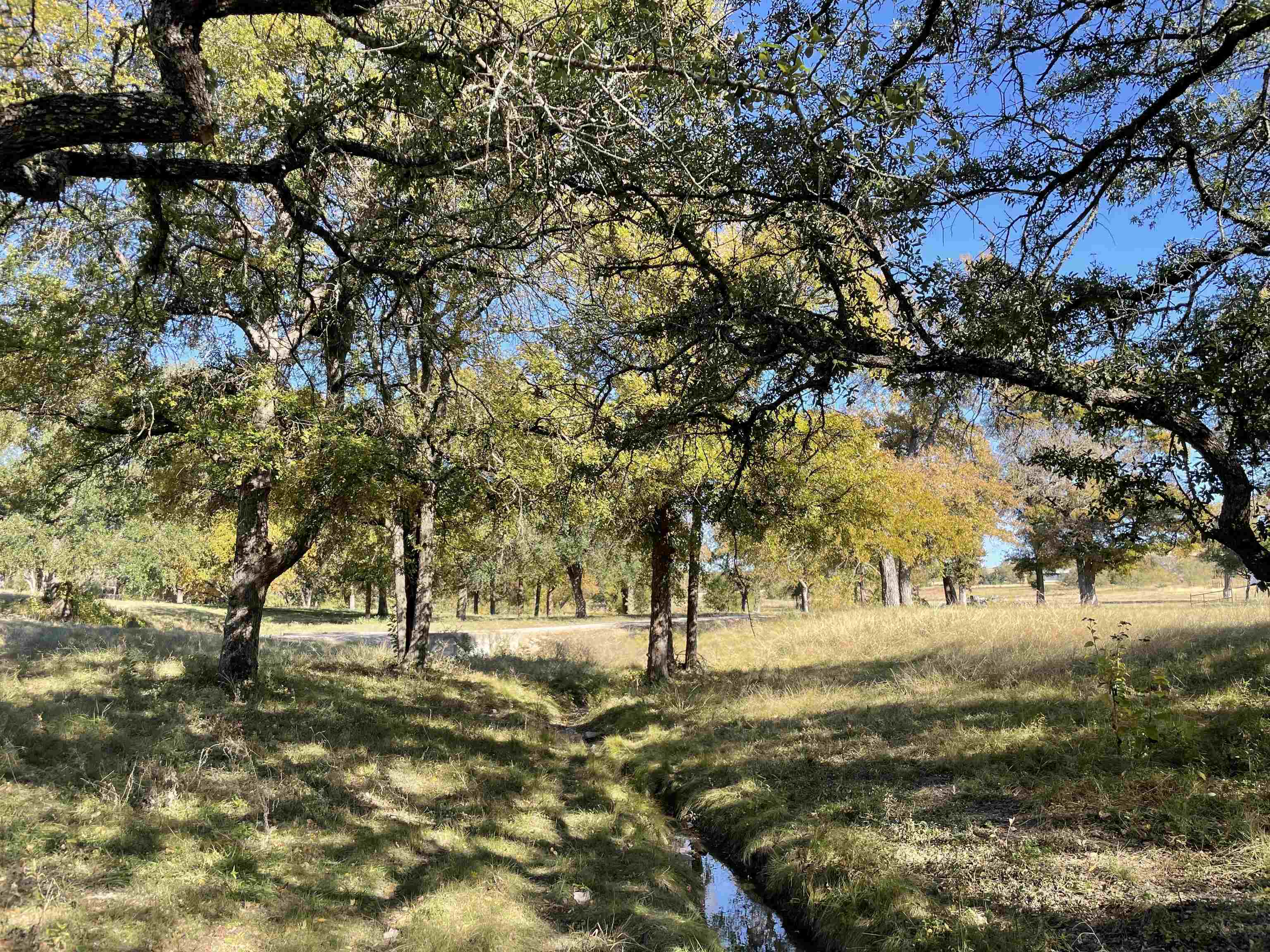 121 Dog Run Burnet TX 78611