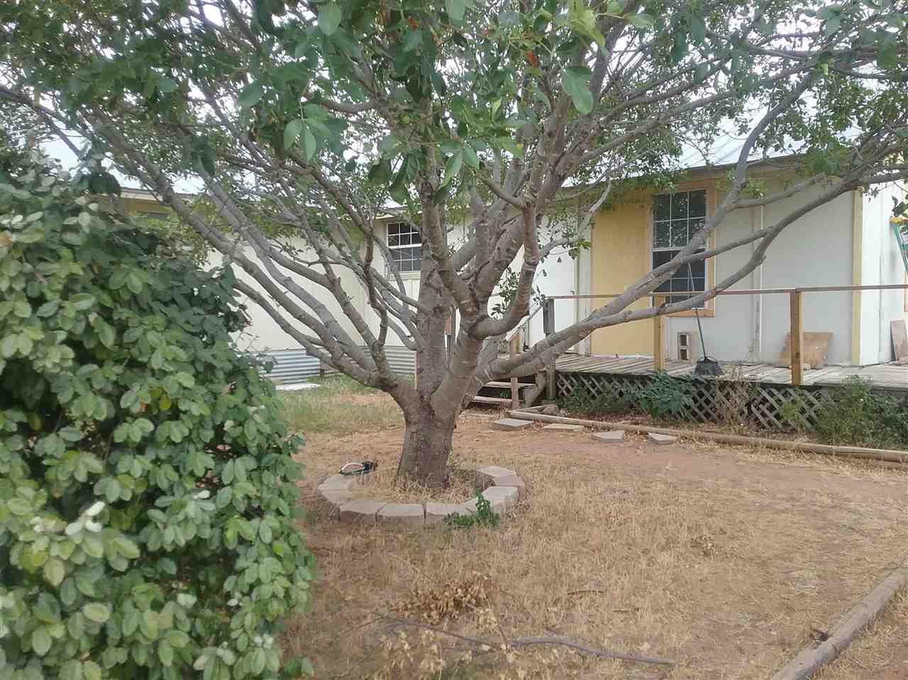 605 Wade Street Tow TX 78672