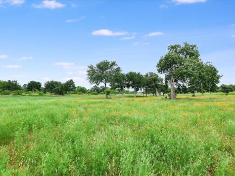 106 Bridalwood Court Kingsland TX 78639