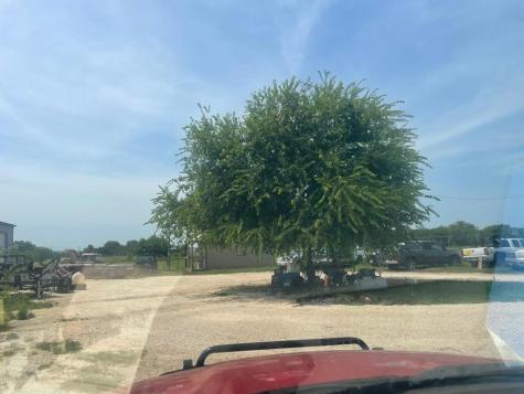 610 Matt Street Camp Wood TX 78833