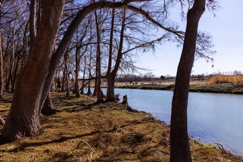 2523 Memorial Boulevard Kerrville TX 78028