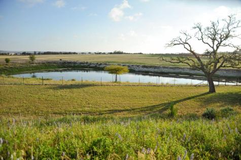1213 Kott Road Fredericksburg TX 78624