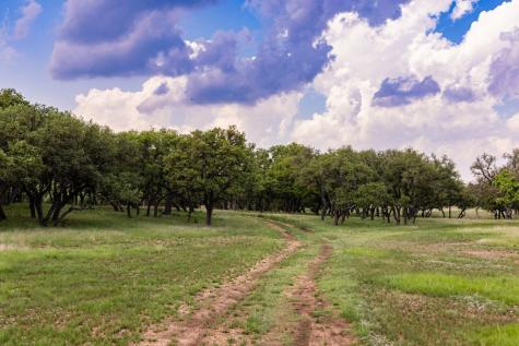 0 Highway 39 Hunt TX 78024