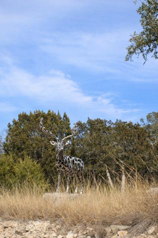 Lot 6 Gene Walker Trail Hunt TX 78024